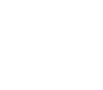 PepsiCo